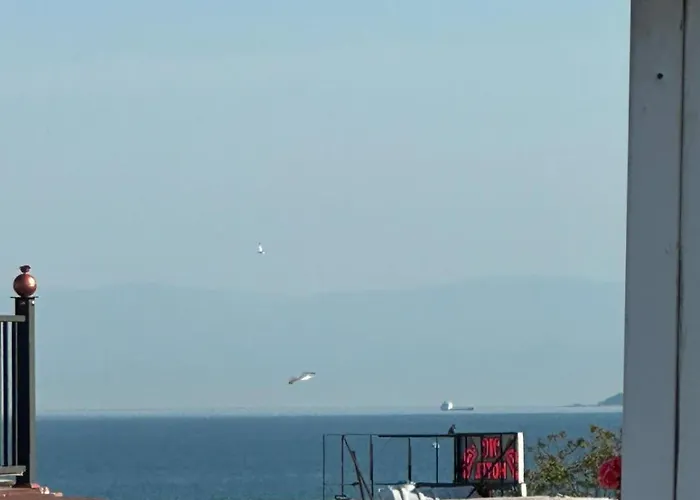 Alha Aparthotel Provincia di Istanbul